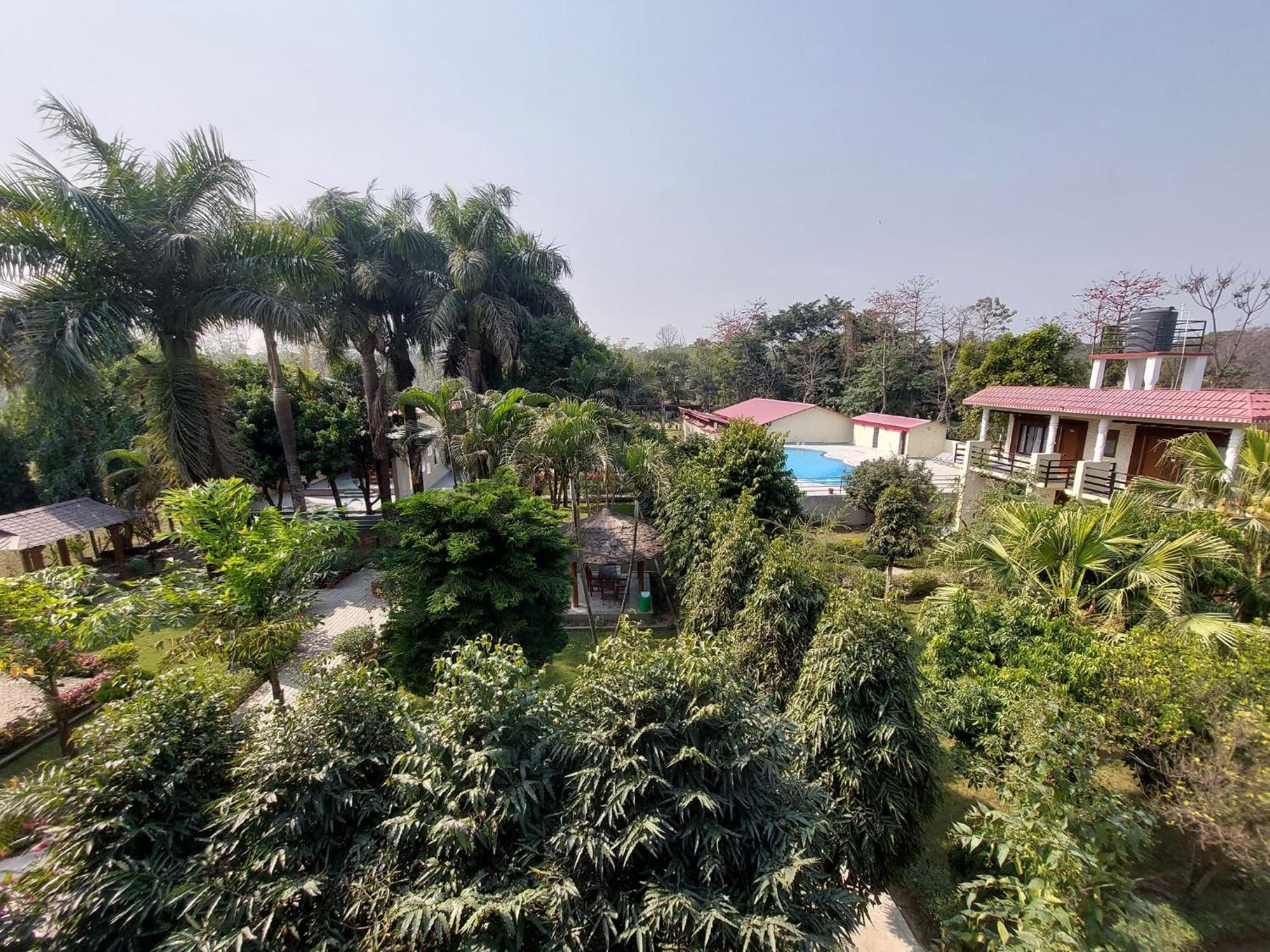 Royal Tiger Luxury Resort 4 Star Sauraha Zewnętrze zdjęcie