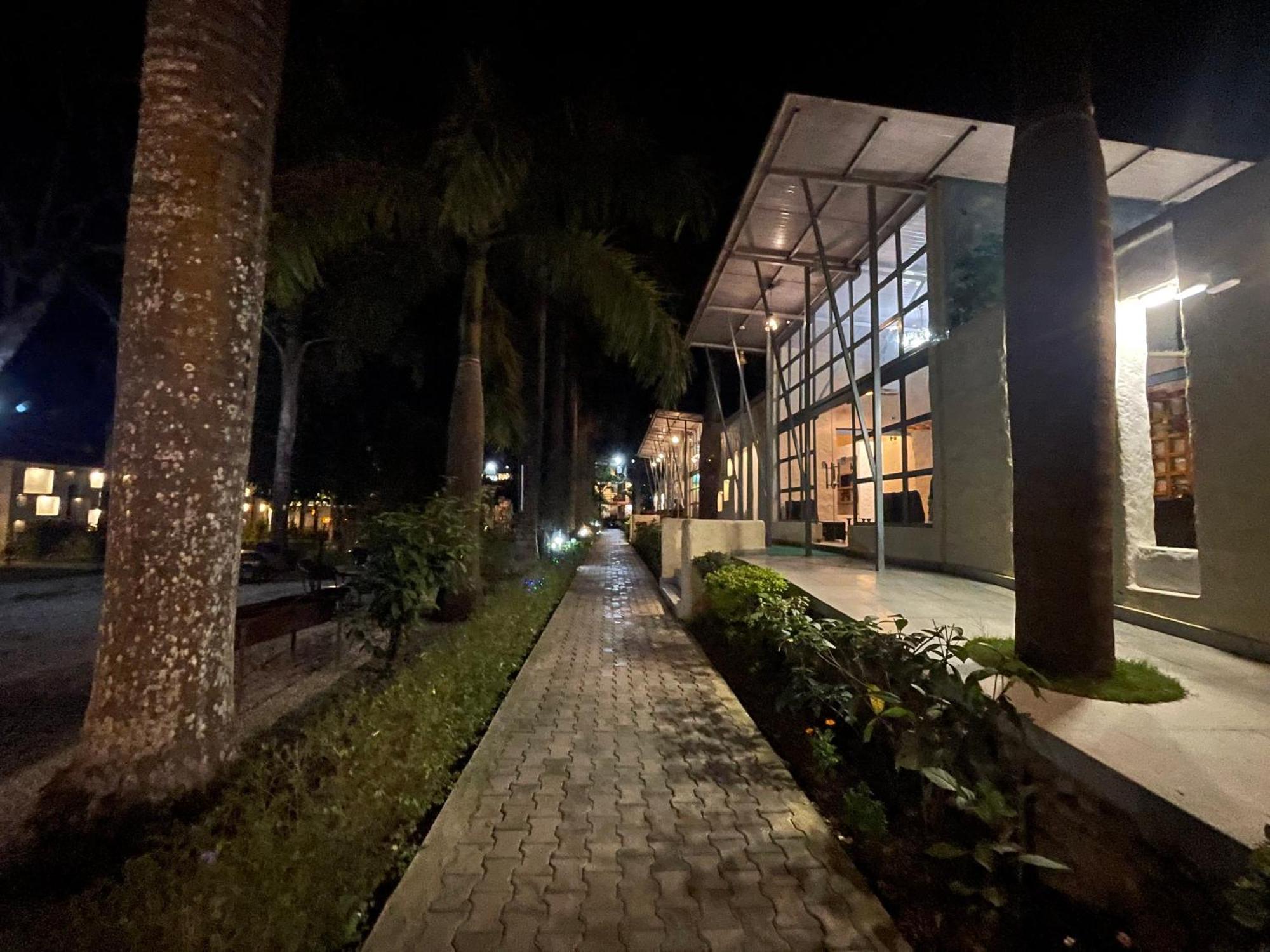 Royal Tiger Luxury Resort 4 Star Sauraha Zewnętrze zdjęcie