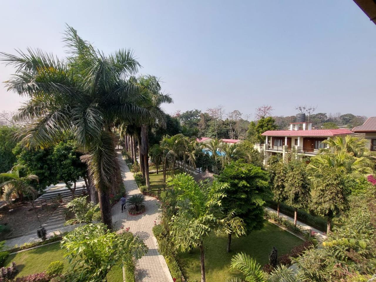 Royal Tiger Luxury Resort 4 Star Sauraha Zewnętrze zdjęcie